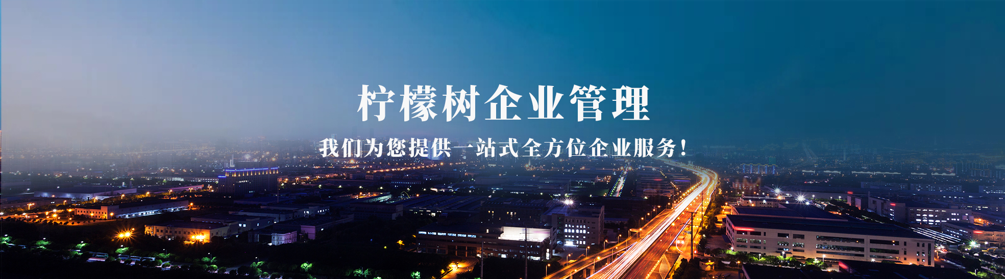 柠檬树企业管理咨询